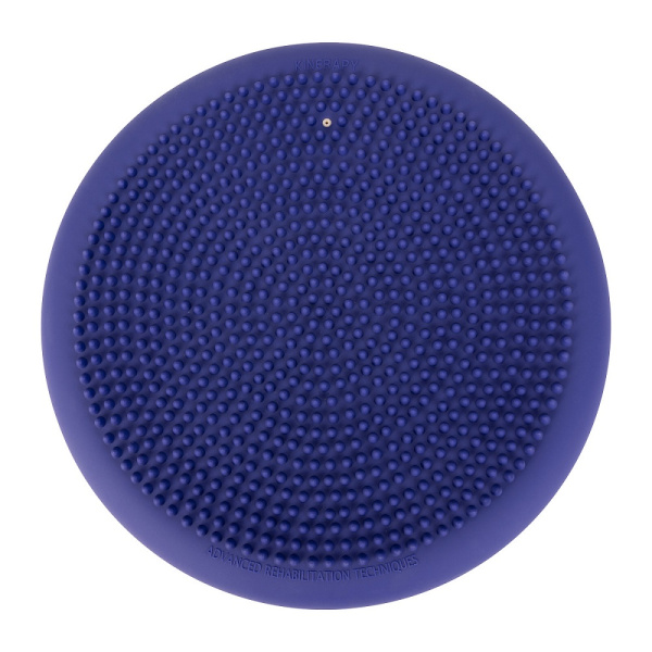 2 Диск балансировочный KINERAPY RS430